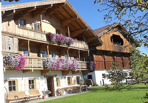 Bilder von Kamera Teil 2 594