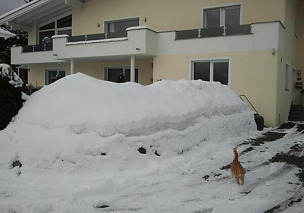 Haus Schatz - Tiefwinter