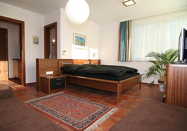 apartment-weissenstein (52)