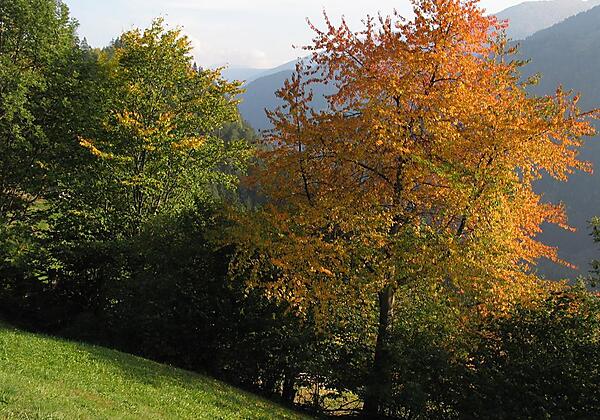 Kalser Motive c Gruber Peter (6)