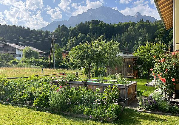 WhatsApp Image 2025-06-22 at 08.34.40