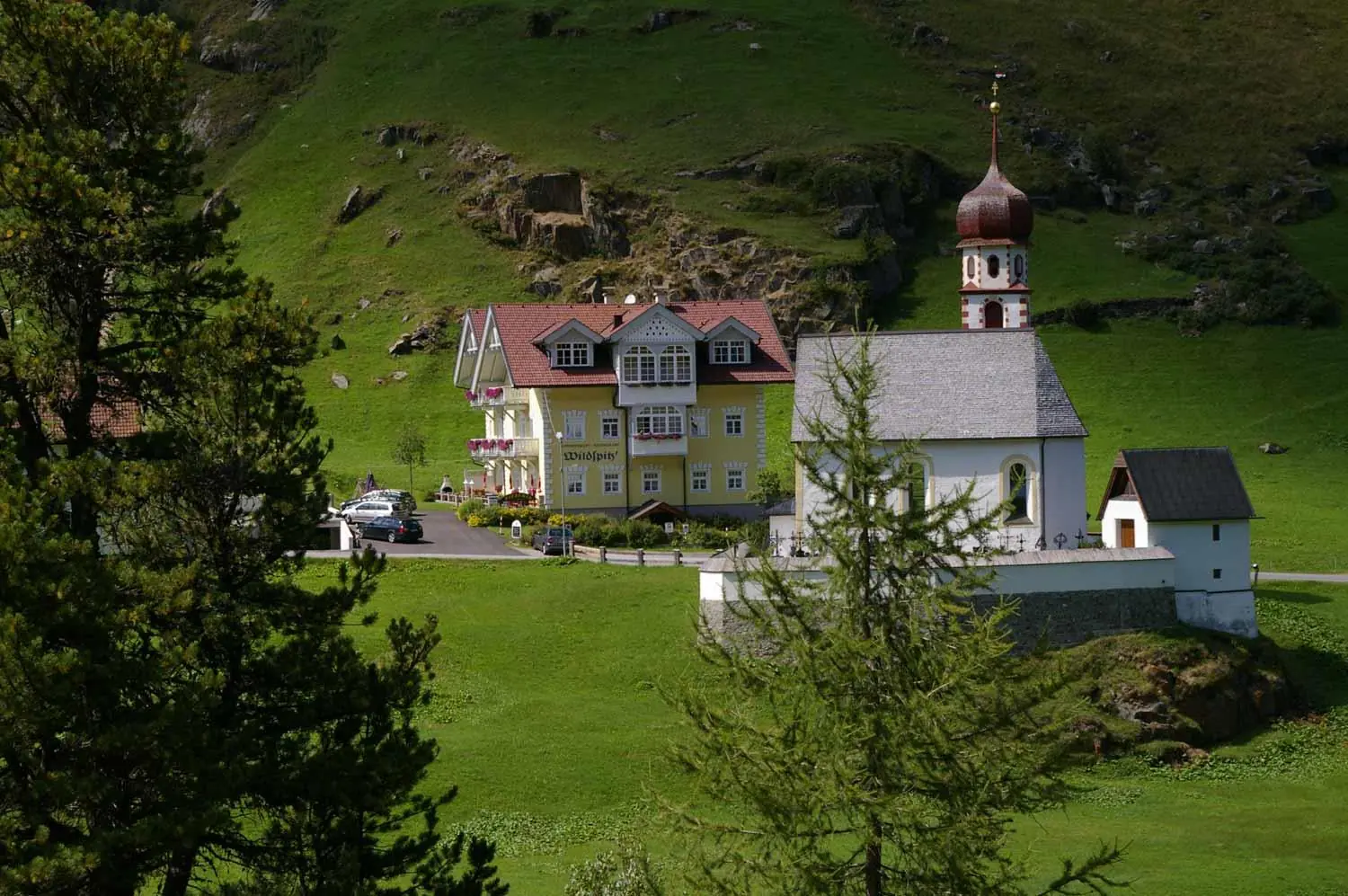 Wildspitz' Sommer