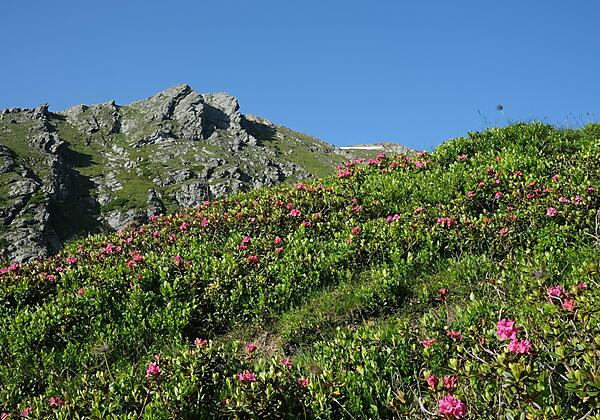 Discover our beautiful mountains!