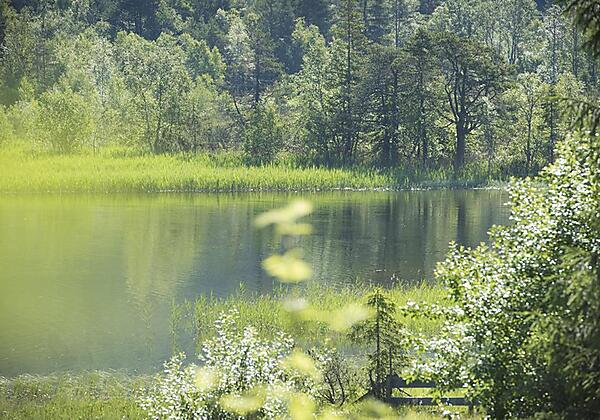 Balkonaussicht im Sommer
