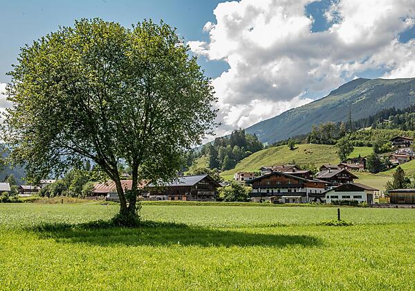 Gästehaus Dreier Sommer4