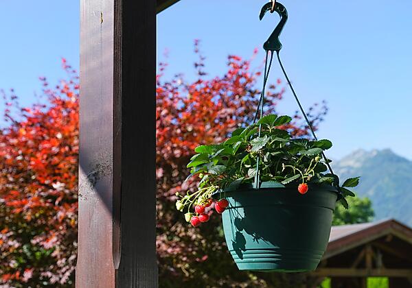 DF293482-EAB1-4957-958A-6F9A17A2EAE3