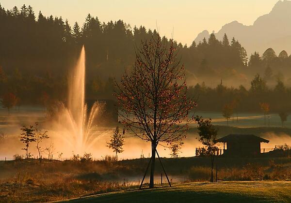 Morgenstimmung Golfplatz