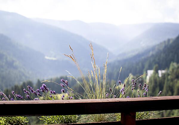 Ausblick