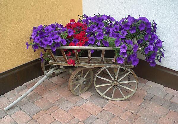 Appartments Agnes Blumen
