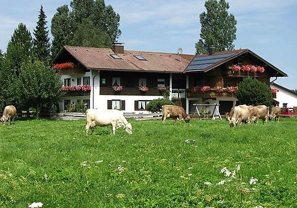 Fewo Hörnerblick Essecke