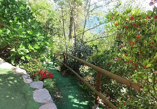 B&B Tana della Volpe