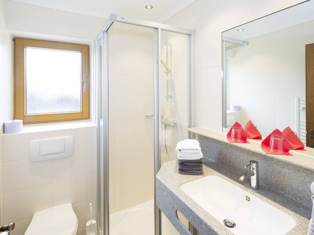 Dusche mit WC im Appartement Greil