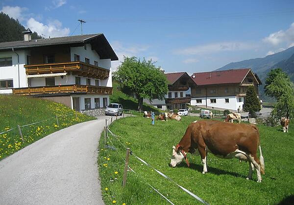 Bahlerhof-Ried im Zillertal-Bauernhof-Sommer