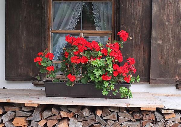 Bauernhaus Ramona - Fenster mit Blumen