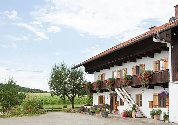 Bauernhof Bolzmacher