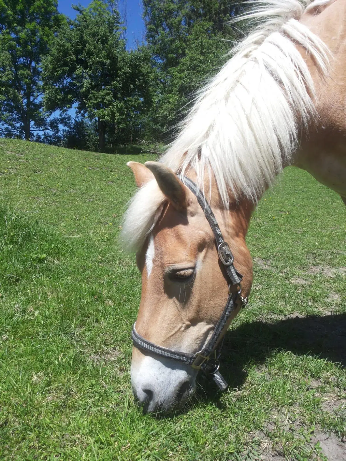 Unsere liebe Lonny