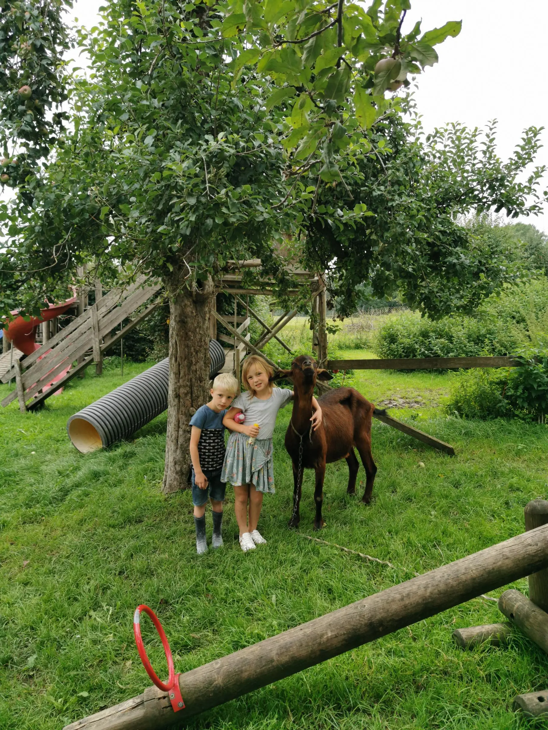 Freundschaft mit Levi