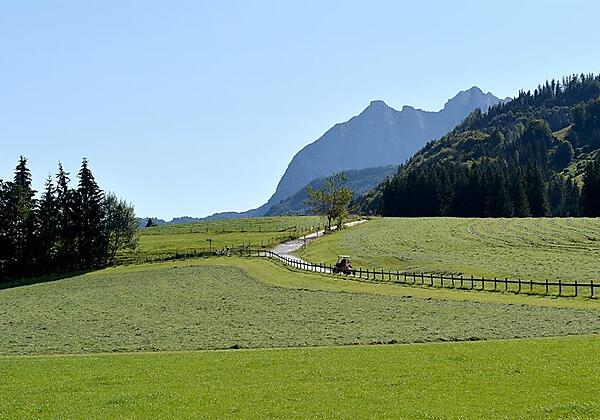 Ausblick vom Ellmererhof Richtung Wilder Kaiser