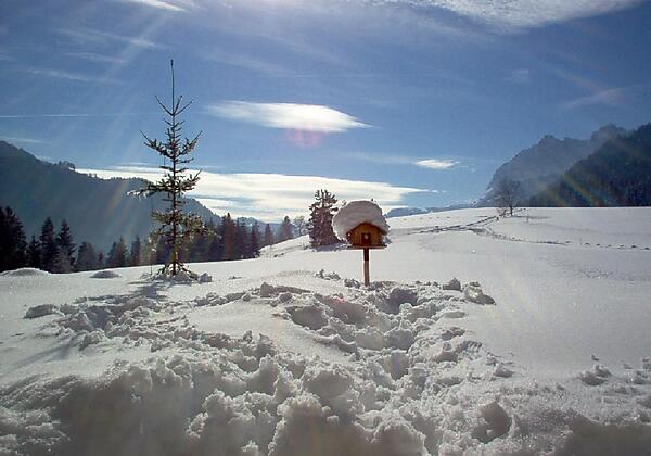 Winterpanorama vom Ellmererhof