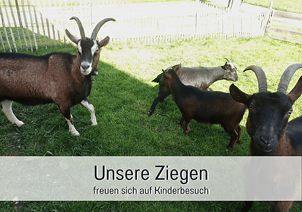 Ziegen