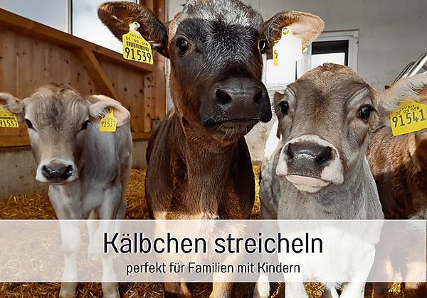 Kälber