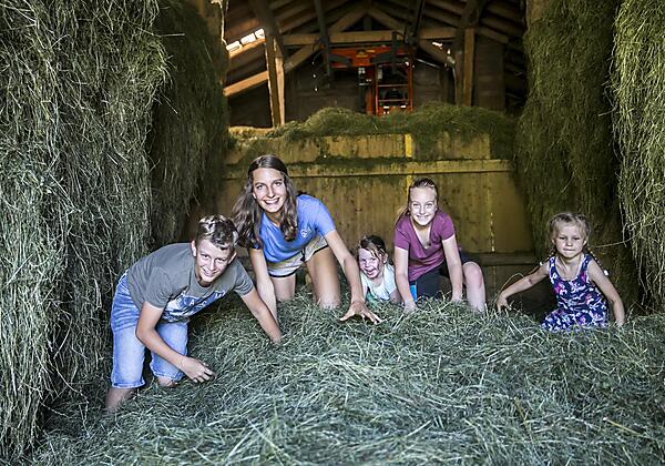 Bauernhof Großwolfing Ebbs - Kinder im Stall