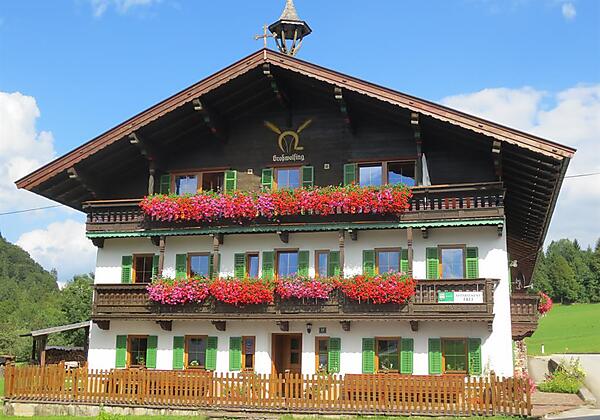 Bauernhof Großwolfing Ebbs - Ansicht