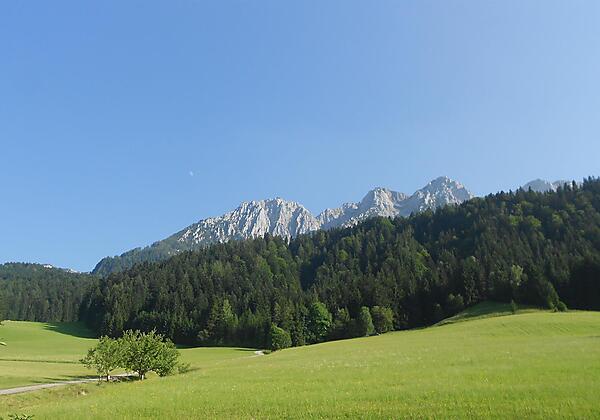 Bauernhof Großwolfing Ebbs - Blick auf die Berge