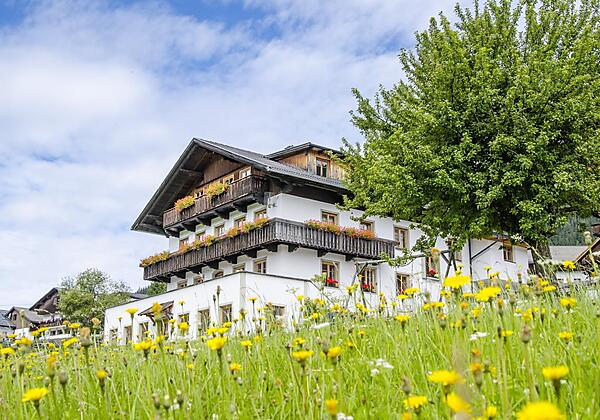 FEWO-Bauernhof-Lienzharter-170728-012