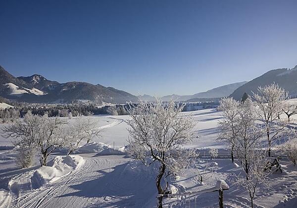 Ausblick auf Loipe und Walchsee