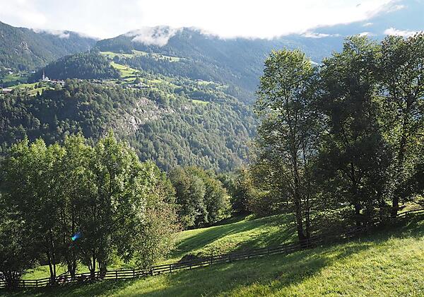 Blick vom Balkon der Meise