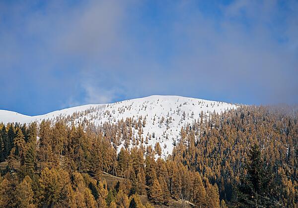 Natur©Slow Travel Resort_29