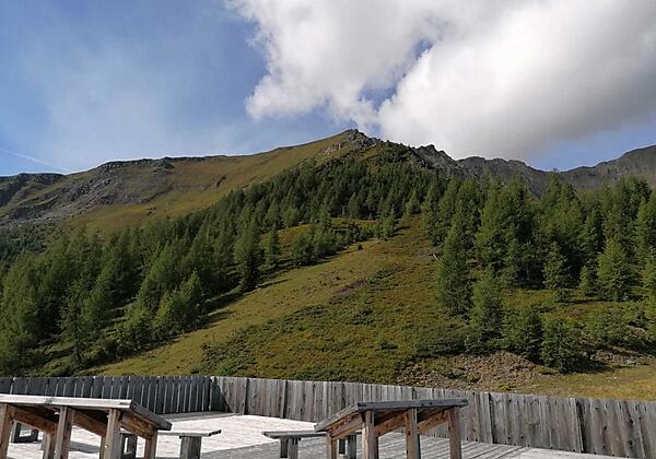 AnyConv.com__cf21316a-fb33-41eb-a82f-ff4225aa875a