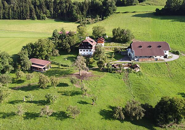 org_9d7df64f88c06ac2_1597559578000[1]