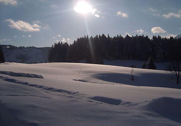 Blick aus dem Fenster