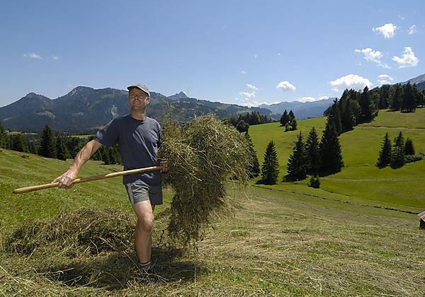 Jung und alt zusammen