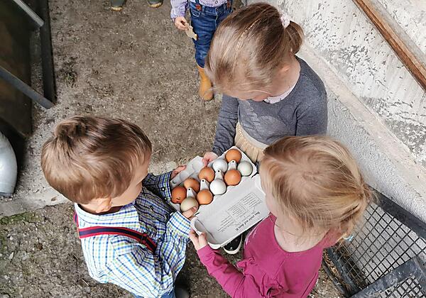 fleißige Helfer beim Eier holen