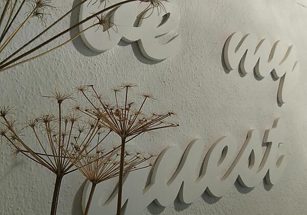 wir freuen uns auf ein wiedersehen!