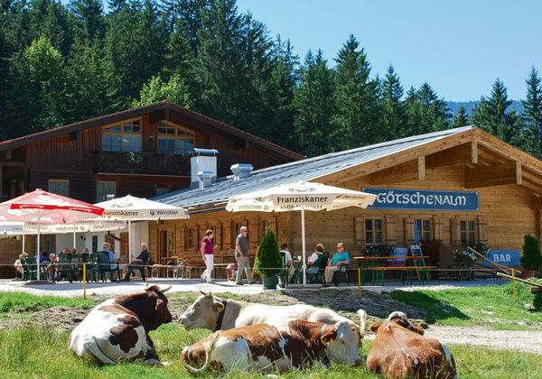 Aussenansicht vom Berggasthof Götschenalm