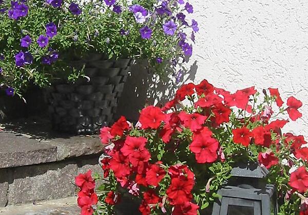 Sommer im Berghaus drei Tannen