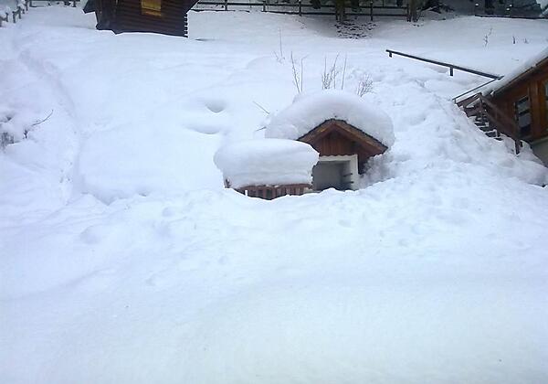 Haus Bergheim Bad Hofgastein Garten Winterr