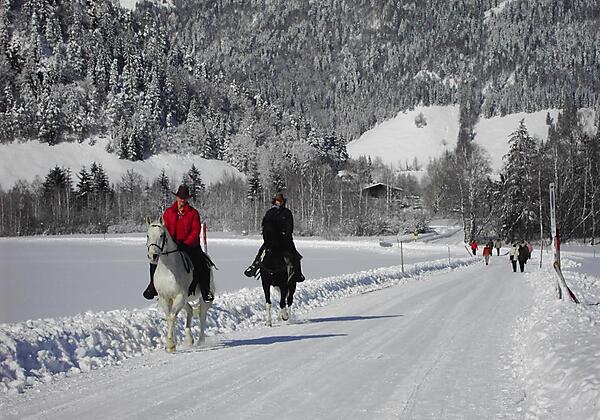 Winterwandern oder Reiten