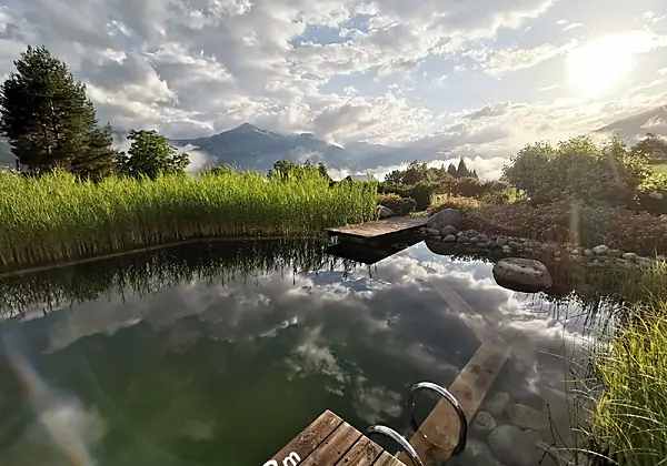 Unser Naturschwimmteich
