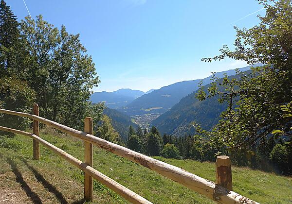 IMG-20241122-WA0004