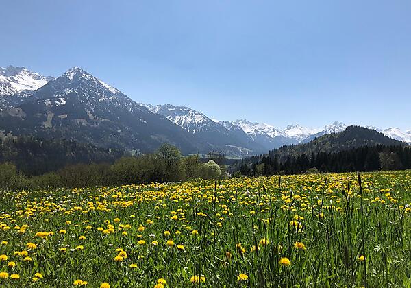 Frühling im BERGLAND