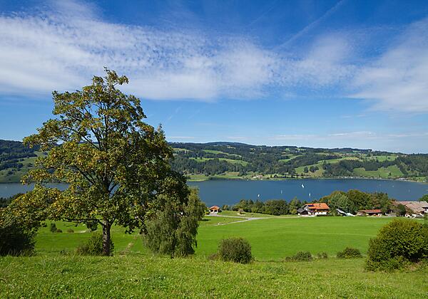 Blick vom OT Rieder