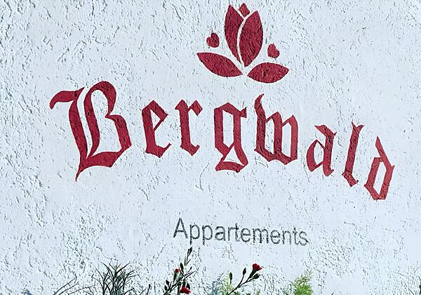 Sommer Deskline Bergwald