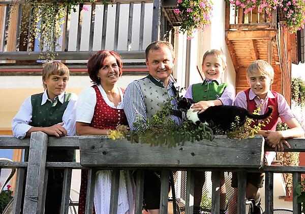 Damwild zum Füttern