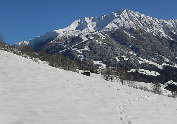Spuren im Schnee