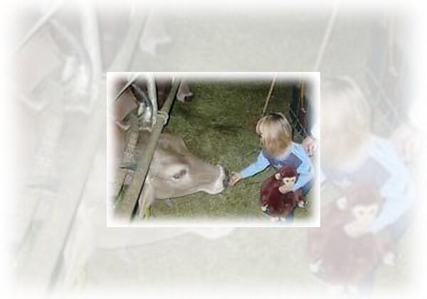 daheim_beim_romantischen_bio_bergbauernhof_101_war